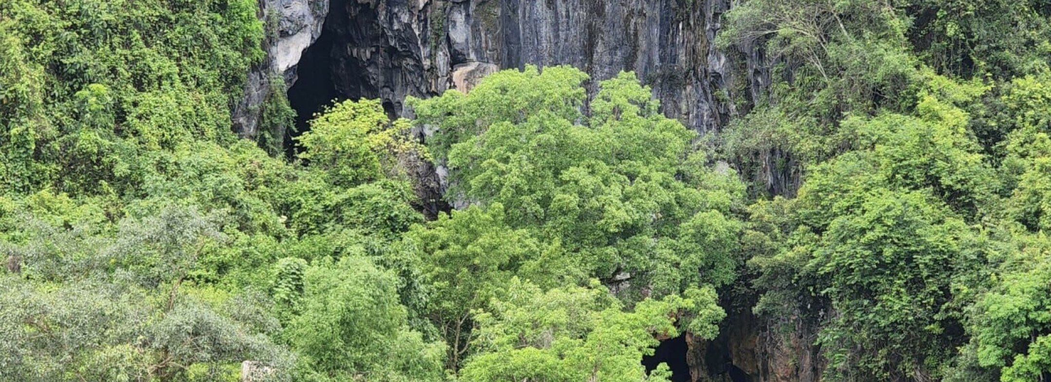 Phong Nha - Ke Bang National Park