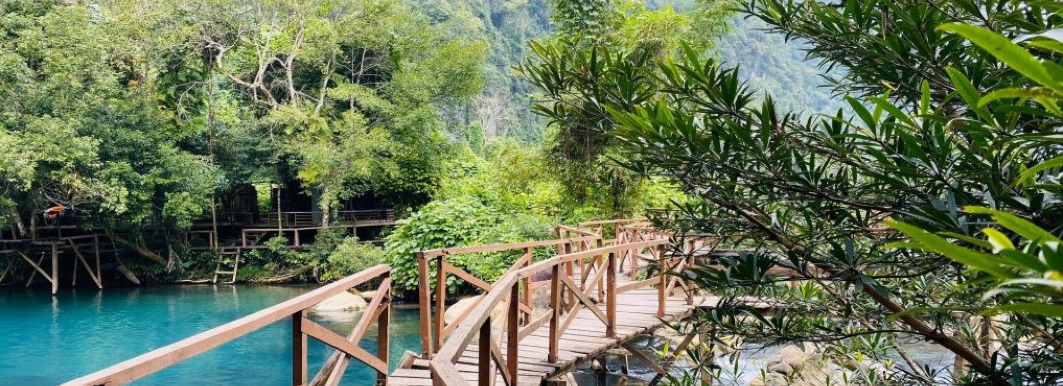 (2D1N) PARADISE CAVE – MOOC SPRING – PHONG NHA CAVE – TRANSFER TO HUE CITY