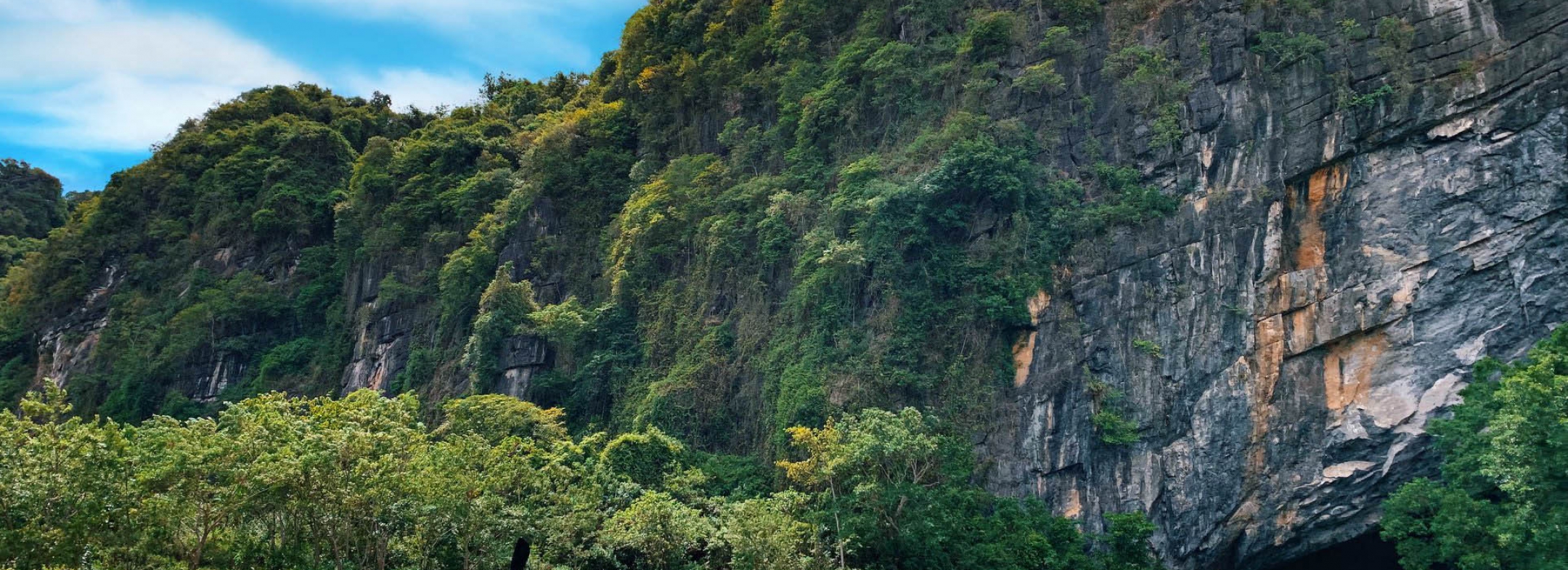 (2D1N) PARADISE CAVE – MOOC SPRING – PHONG NHA CAVE – TRANSFER TO DONG HOI CITY