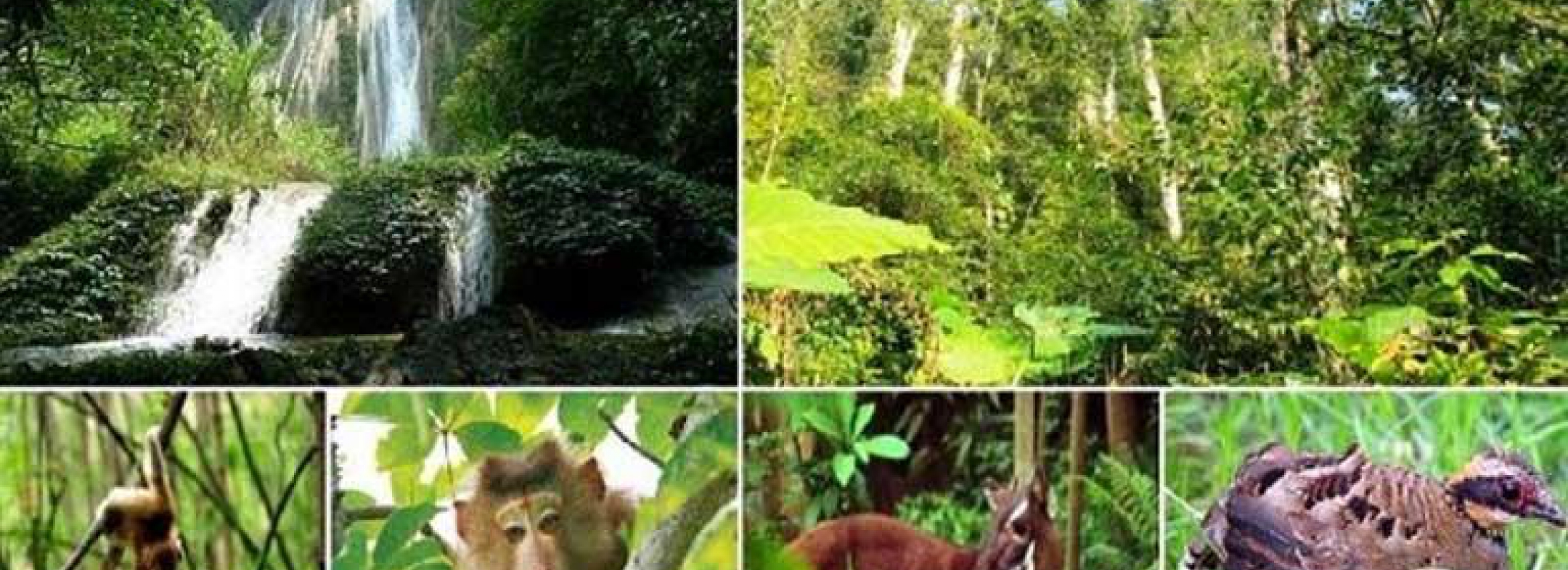 RÍO CHAY – CUEVA OSCURA Y JARDÍN BOTÁNICO