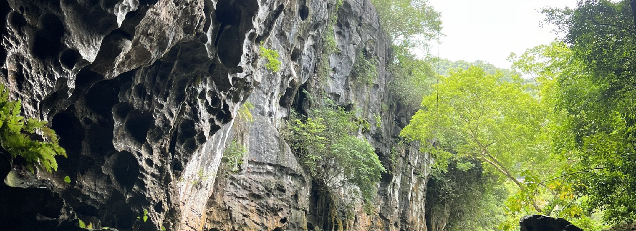 EXCURSIÓN A LA CUEVA DE PHONG NHA Y LA CUEVA OSCURA – RÍO CHAY