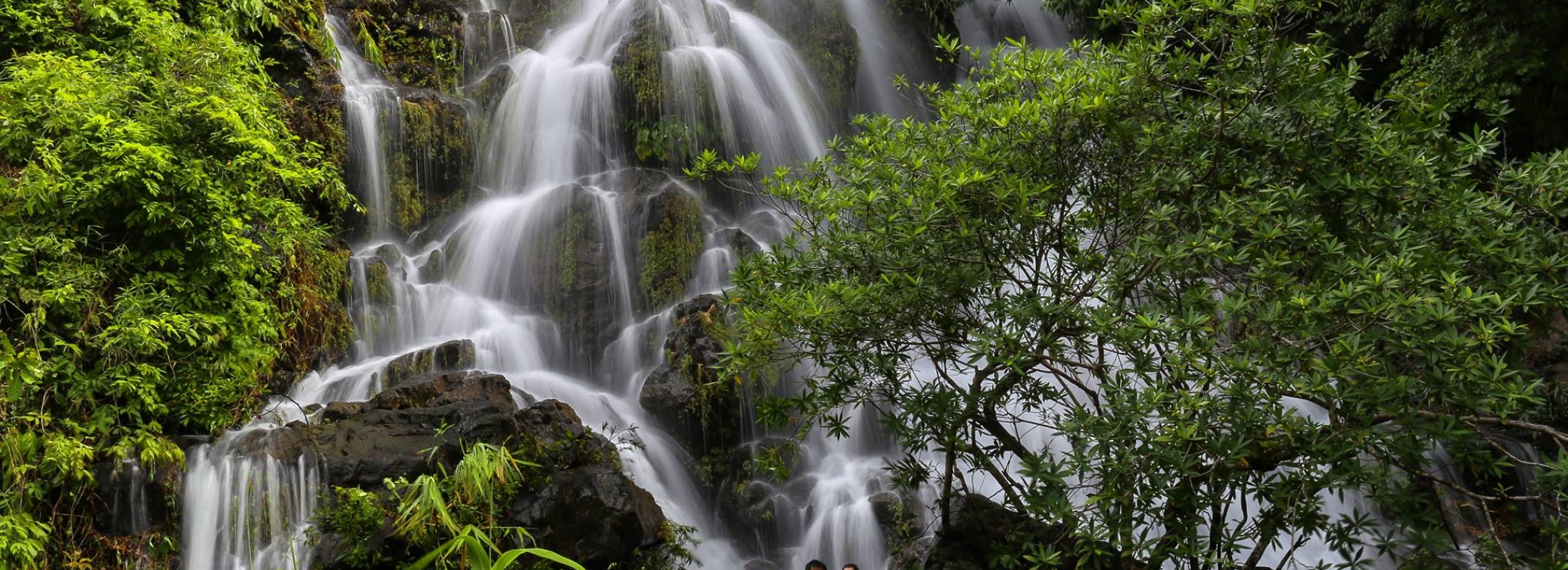 KHÁM PHÁ VƯỜN THỰC VẬT – TREKKING XUYÊN RỪNG CHINH PHỤC THÁC GIÓ TẠI PHONG NHA