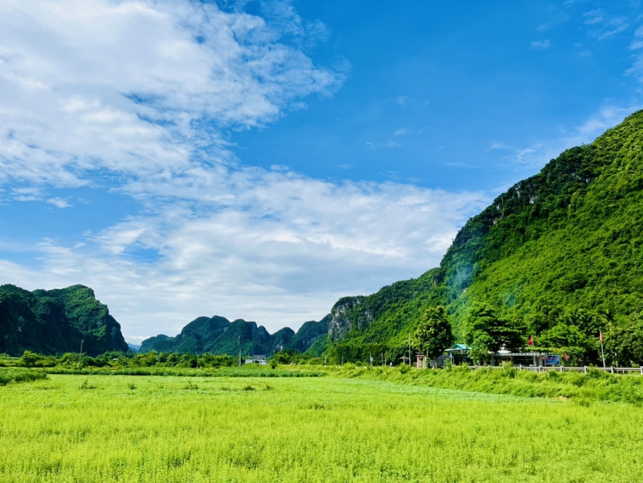 Thư viện hình ảnh